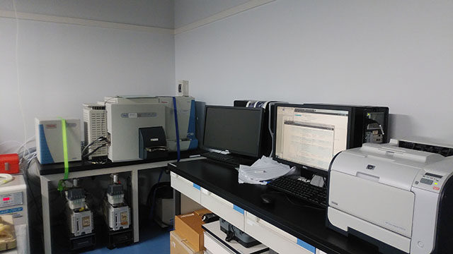 The mass spectrometry