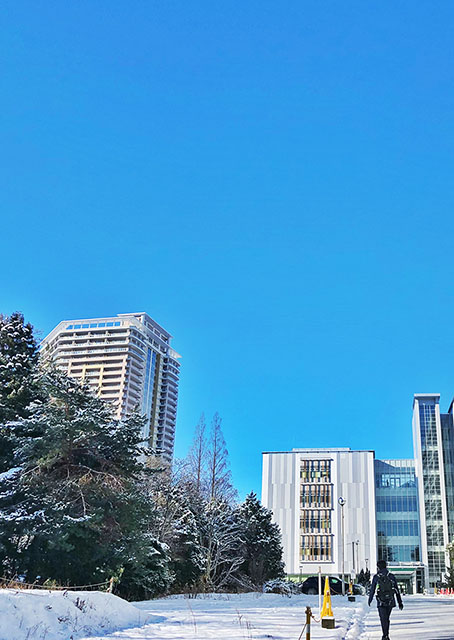 Sendai Blue in Late Winter