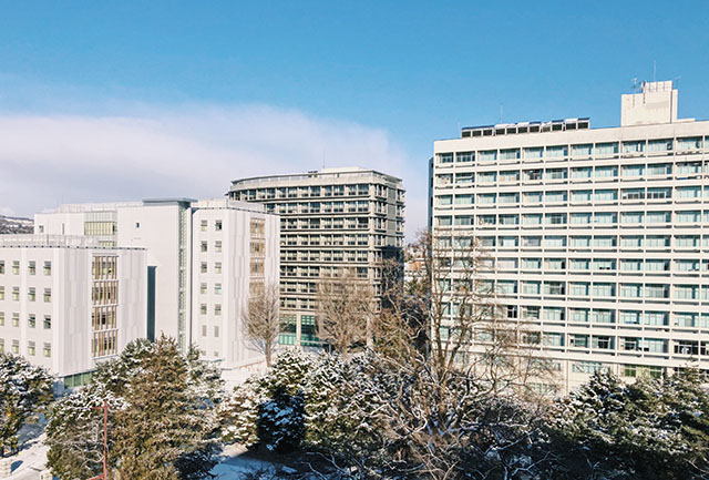 The Buildings (1, 5, Mega and 6 from the right)